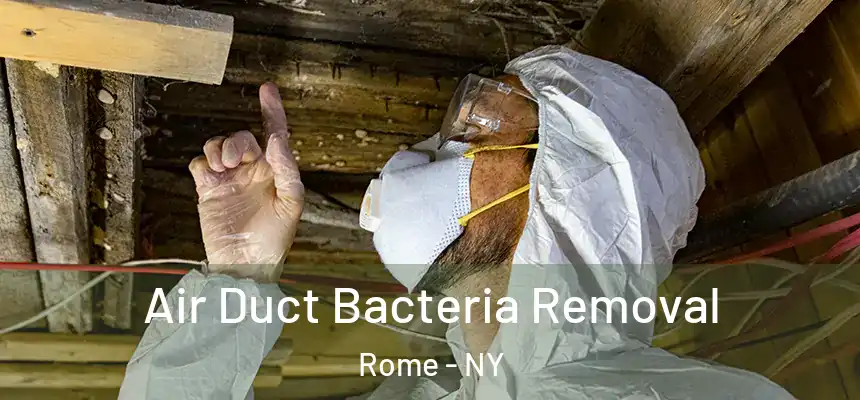  Air Duct Bacteria Removal Rome - NY