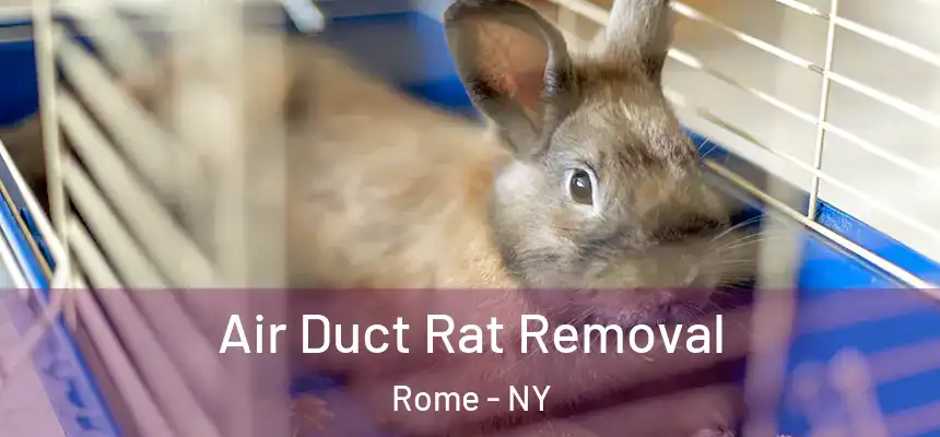  Air Duct Rat Removal Rome - NY