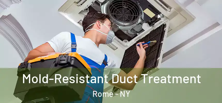 Mold-Resistant Duct Treatment Rome - NY
