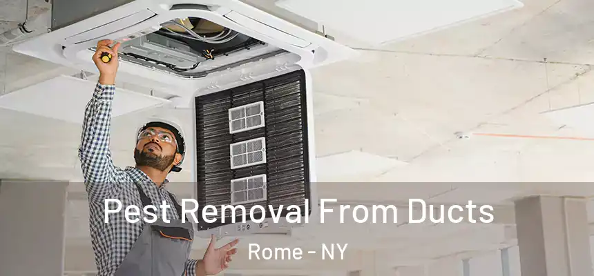 Pest Removal From Ducts Rome - NY