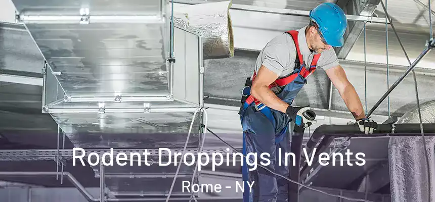  Rodent Droppings In Vents Rome - NY