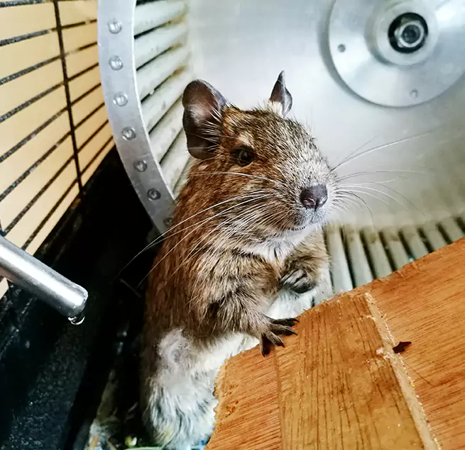 Why Homeowners & Businesses Trust Us Rome, NY?